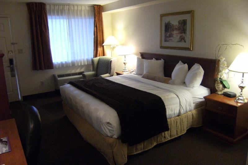 Best Western Halton Hills Georgetown Kamer foto